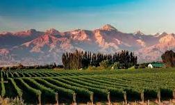 MENDOZA