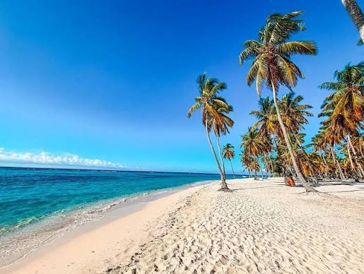 BAYAHIBE DESDE ROSARIO 2027