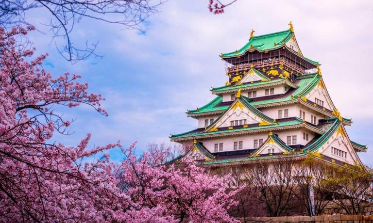 SÚPER JAPÓN 