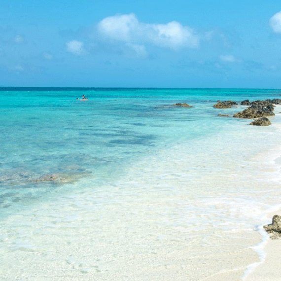 Aruba