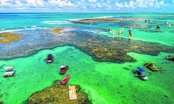 Porto de Galinhas - Amada Terra