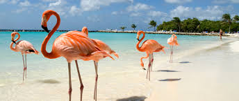 ARUBA  VERANO 2027